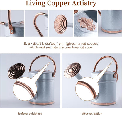 1 Gallon Galvalume Metal Watering Can with Solid Brass Sprout, Handle & Base Trim - Genuine Forged Copper Joints for Indoor/Outdoor Plants, Garden, Balcony for Kids and Adults (Stardust & Vermilion)