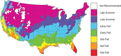 Seeds of Science Pro Brassica Blend (2)