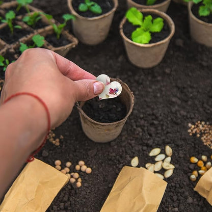 Heart Seed Paper – 50pcs Large Pink Plantable Wildflower, Writable & Plantable Gift for Moms, Plant Lover, & Teachers, Ideal for Weddings, Baby Shower, Memorial, & Celebrations