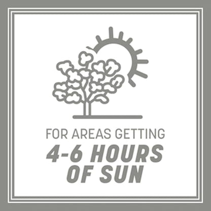 Pennington Contractors Grass Seed Mix Central 20 lb