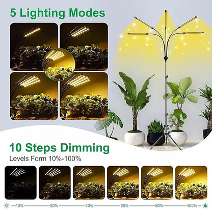 5-Head Adjustable LED Lights, Full Spectrum Grow Lamp with Timer, Warm White Light for Indoor Plants