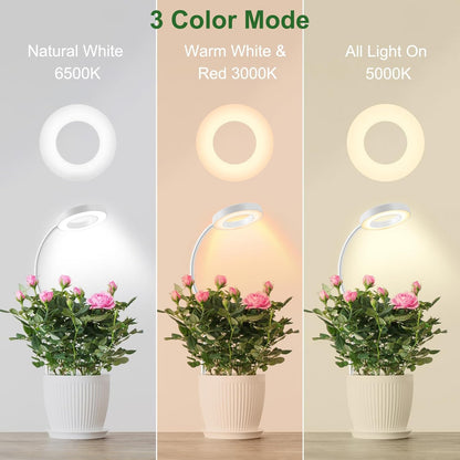 Wolezek 2 in 1 Grow Lights for Indoor Plants, 3 Colors Plant Lights for Indoor Growing with 360° Gooseneck, 48 LEDs Full Spectrum Plant Grow Lights Indoor, 6/12/16H Timer, 5 Brightness, White 1 Pack
