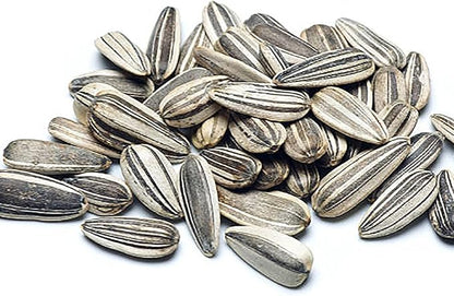 Autumn Beauty Sunflower Seeds