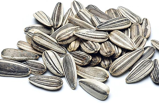 Mexican Sunflower Seeds - Attracts Bees and Butterflies