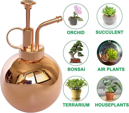 Stainless Steel Plant Sprayer, Small Watering Can Plant Misting Bottle, Modern Gardening Tools for Indoor Potted Plants Watering and Misting