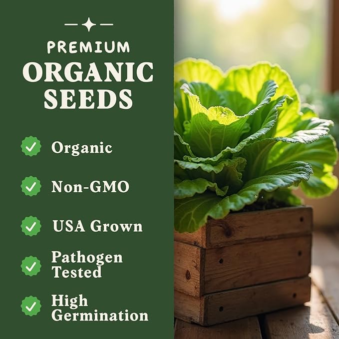 Seedboy Organic Lettuce Seeds for Planting Indoor and Outdoor, Non-GMO and USDA Certified Vegetable Seed Packet for Hydroponic Garden Indoor or Planting Outdoors (Buttercrunch Lettuce)