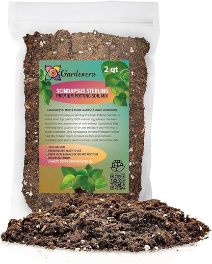 Elevate Your Space with Gardenera's Organic Potting Mix - Tailored for Thriving Scindapsus Sterling Plants and Striking Leaves - 2 Quart