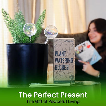 Large 6 Pcs Iridescent Self Watering Globes, Glass Rainbow Plant Watering Globes, Self Watering Planter Insert, Automatic Plant Waterer Indoor, Plant Watering Devices, Plant Water Globe, Watering Bulb