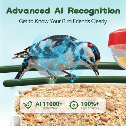 Smart Bird Feeder with Camera-AI Identify 11,000+ Species, 2K HD Auto Capture Birds Video & 64G TF Card, Solar-Powered Wireless Outdoor Design, Birdhouse with Built-in Two-Way Microphone