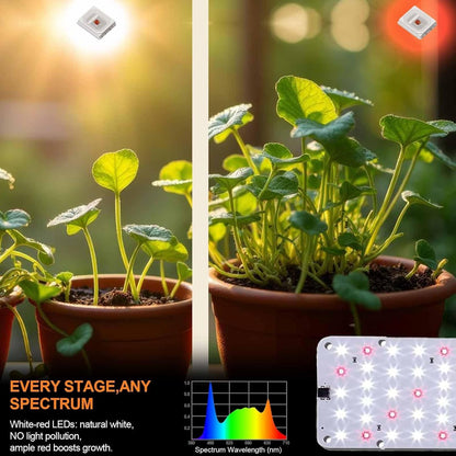 DOMMIA Grow Light, 20W Ultra-Thin Panel Grow Lights for Indoor Plants, High PPFD Full Spectrum, Dimmable, 6/12/16H Timer Auto on/Off, Suitable for Indoor Growing, Cold White 2-Pack