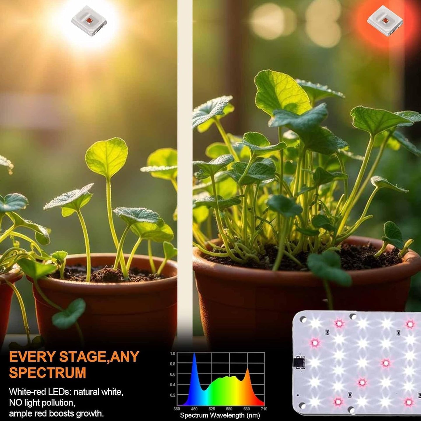 DOMMIA Grow Light, 20W Ultra-Thin Panel Grow Lights for Indoor Plants, High PPFD Full Spectrum, Dimmable, 6/12/16H Timer Auto on/Off, Suitable for Indoor Growing, Cold White 1-Pack