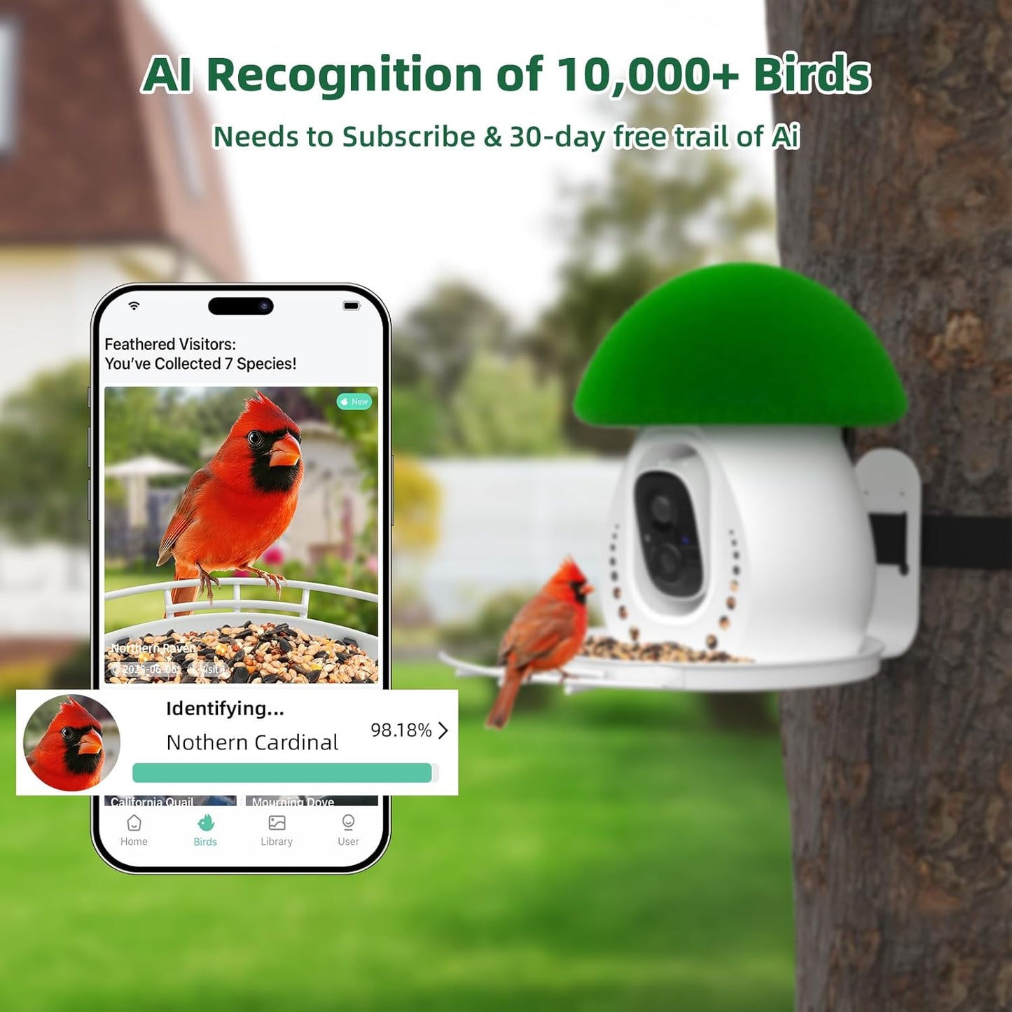 Metal Bird Feeder with Camera,Solar Powered,1.7L Capacity,Auto Capture & AI Identify Bird Species 10000+,2K HD Live Stream Camera,Real-Time Notifications