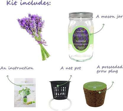 Hydroponic Herb Growing Kit, Self-Watering Mason Jar Herb Garden Starter Kit Indoor, Windowsill Herbs Garden, Grow Your Own Herbs from Organic Seeds (Lavender)