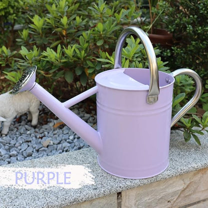 Metal Watering Can, One Gallon Watering Cans Stainless Steel for Outdoor Indoor Garden Plants Watering (Stainless Steel Handle Purple)