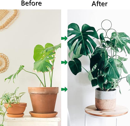 Trellis for Potted Plant Trellis Indoor, Stackable Indoor Trellis for Climbing Plants Support, 3 Pack Small Metal House Plant Trellis for Garden Vines, Flower and Christmas Tree