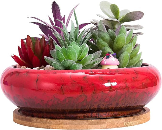 ARTKETTY Succulent Pots - 7.3 Inch Large Succulent Planters with Drainage Ceramic Bonsai Pots with Bamboo Tray, Shallow Planters for Indoor Cactus Plants Decorative Flower Plant Container