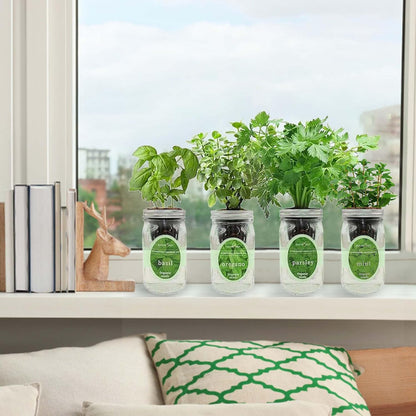 Hydroponic Herb Growing Kit Set, Self-Watering Mason Jar Herb Garden Starter Kit Indoor, Grow 4 Kinds of Herbs from Seeds (Basil, Mint, Parsley & Oregano)