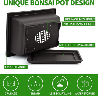 Bonsai Tree Kit with Complete Plant Growing Tools, Grow in Pot Indoor Bonsai Tree Starter Kit, Home Gardening DIY Gift for Adult