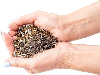 Gardenera Premium Apricot Potting Soil Mix - Ideal Nutrient Blend for Growing Robust, Flavorful, and Bountiful Apricots - 2 Quart