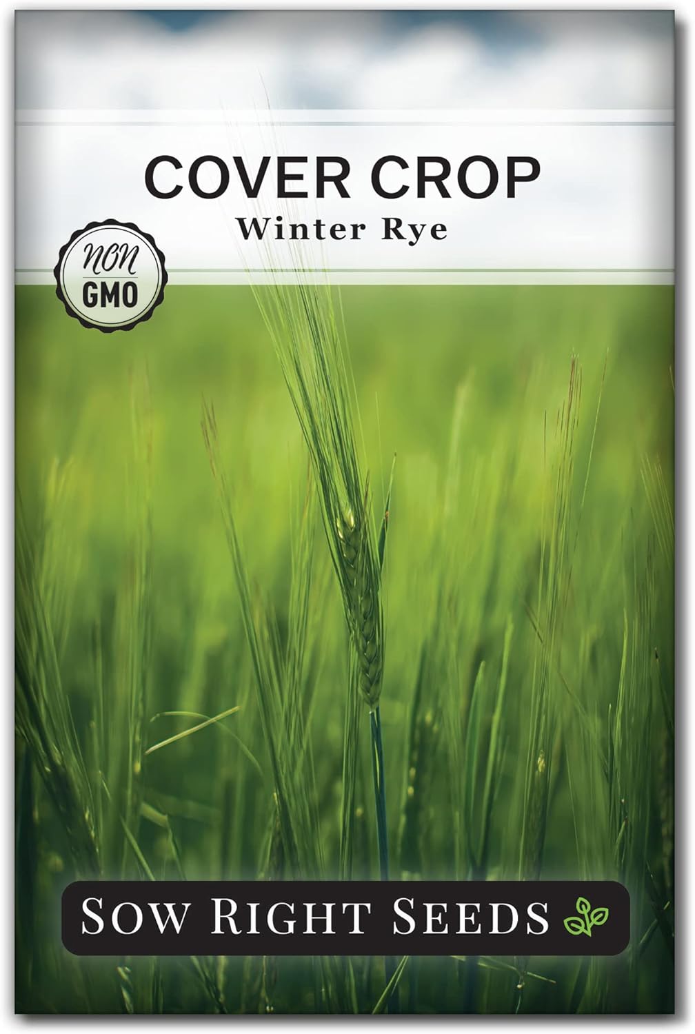 Sow Right Seeds - Winter Rye Seed for Planting - Cover Crops to Plant in Your Home Vegetable Garden - Enriches Soil and Adds Organic Matter - Helps Erosion - Non-GMO Heirloom Seeds - Gardening Gift