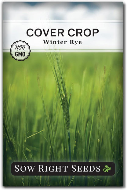 Sow Right Seeds - Winter Rye Seed for Planting - Cover Crops to Plant in Your Home Vegetable Garden - Enriches Soil and Adds Organic Matter - Helps Erosion - Non-GMO Heirloom Seeds - Gardening Gift