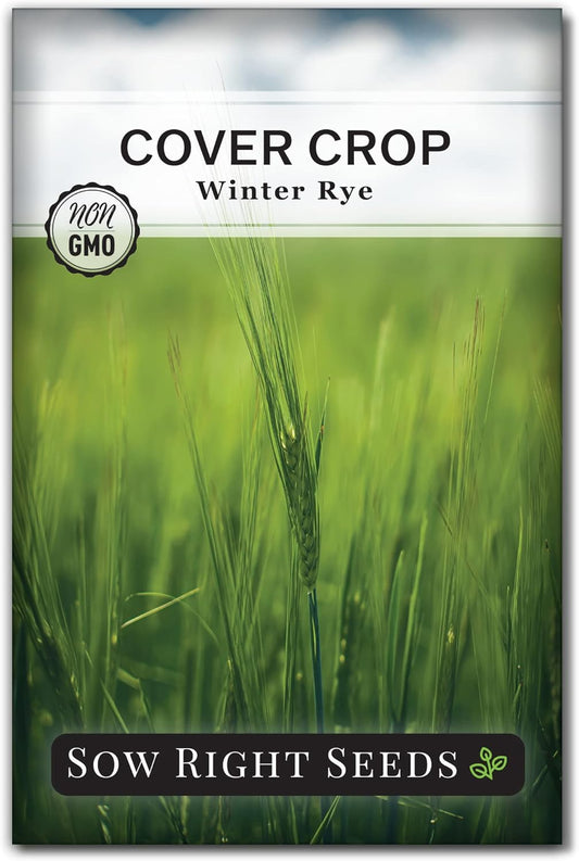 Sow Right Seeds - Winter Rye Seed for Planting - Cover Crops to Plant in Your Home Vegetable Garden - Enriches Soil and Adds Organic Matter - Helps Erosion - Non-GMO Heirloom Seeds - Gardening Gift