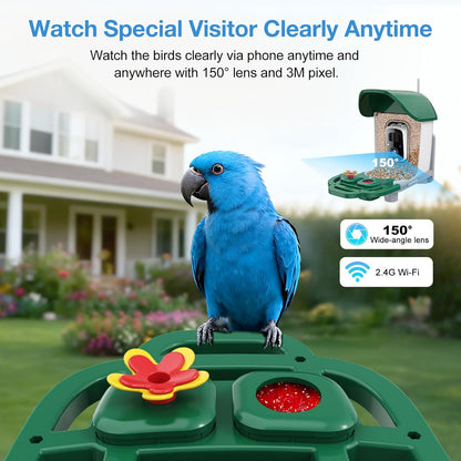 Smart Bird Feeder with 3MP HD Camera & AI Identify, Hummingbird Feeder with Solar Panel, Supports Two-Way Audio, Instant Arrival Alerts, Birdhouses for Outdoors, Gifts for Bird Lovers, Green