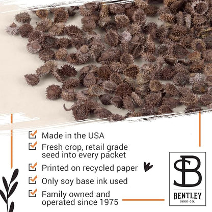 Bentley Thank You Packet - Sunflower Seeds - Pack of 25 - Perfect Eco-Friendly Thank You Gift - Non GMO