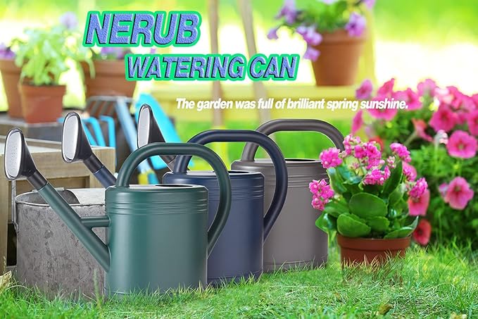 Watering Can 1 Gallon for Garden, Indoor Plants, Outdoor Plant House Flower, Large Long Spout with Sprinkler Head (Grey)