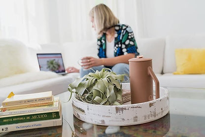 6 Pack Large Xerographica Air Plants 5 to 7 Inch Wide - Air Plants Live Tillandsia Succulent House Plants Holders- Available in Wholesale and Bulk Air Plant- Easy Care Indoor and Outdoor Plants