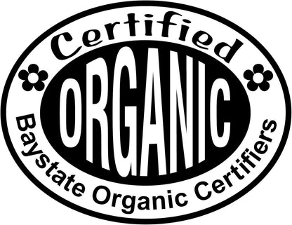 Smoke Camp Crafts Organic Prickly Pear Cactus Plant, Opuntia cochenillifera, in 2.5-inch Pot