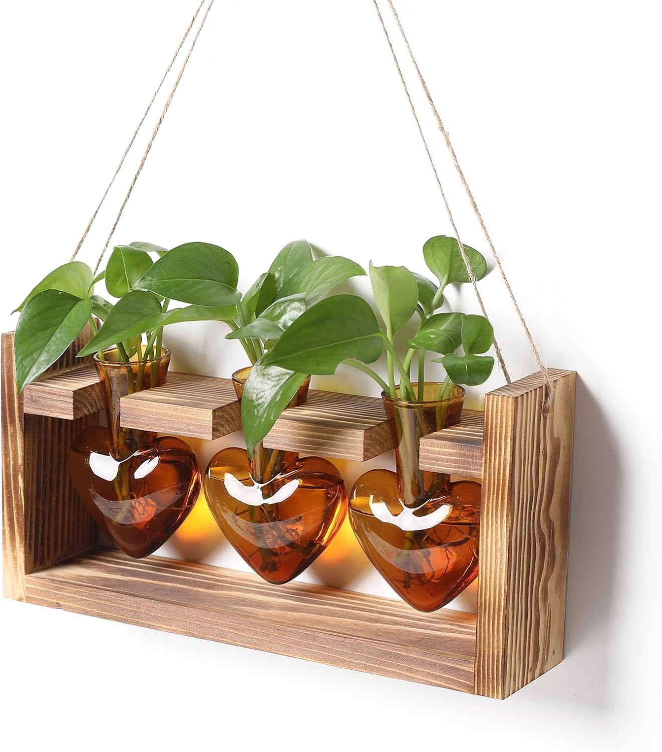 Plant Terrarium Propagation Stations Hydroponics Home Garden Decoration Gift for Women with Wooden Stand Heart Shaped Colored Glass Vase
