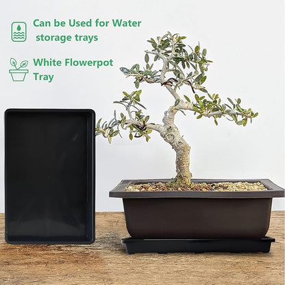 5 Pack Nursery Potting Tray, Carrying and Holding Plant Tray for Seeds Starting Pot, Collecting Drainage Water(Black)