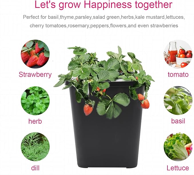 DWC 2 Hydroponic Buckets Kit for Plants, Hydroponics Growing System for Herbs/Tomato/Vegetables, DWC System with Air Pump & Germination Tray (Complete Indoor Hydroponic Gardening Supplies) (Black)