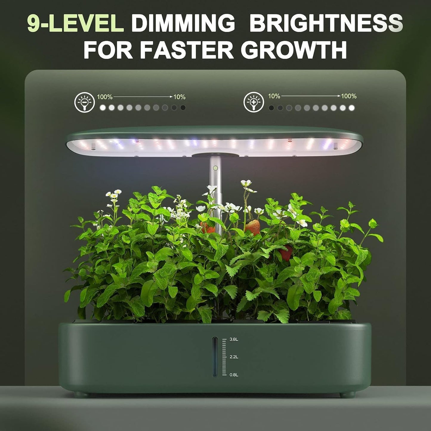 Hydroponics Growing System Kit - 12 Pods Indoor Herb Garden with LED Grow Light, Auto Timer, Adjustable Height up to 17" - Ideal for Home, Birthday & Mother's Day Gifts for Women (Dark Green)