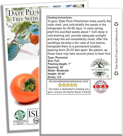 Date Plum Persimmon Tree Seeds (Diospyros Lotus) – 30+ Non-GMO & Heirloom Seeds, Exotic & Rare Fruit Tree, 80% Germination Rate, by Isla’s Garden Seeds, Unique Edible Landscape Addition