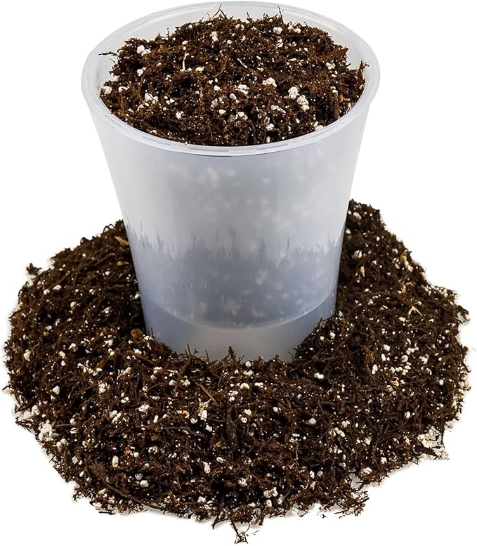 Gardenera Fern + Perlite Soil Mix - 10 Quart - for Repotting and Planting Succulents and Cactuses (4 Bags of 5 Quart)