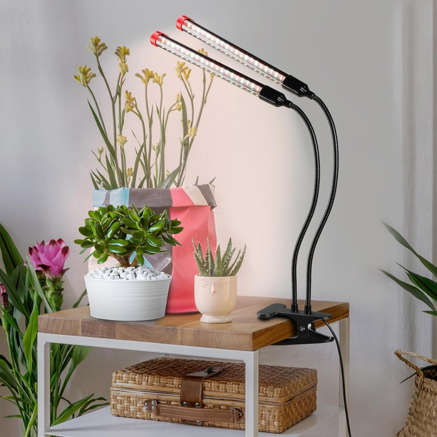Gamechanger! 18W Power Home Plug, NOT 10W Adapter, FECiDA 2Head Clip Grow Lights for Seed Starting with Timer, Enough Bright Like Sun Full Spectrum Grow Lights for Indoor Plants, Bonsai, Seedlings