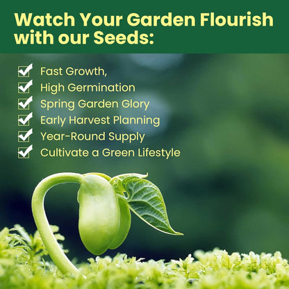 Herb Seeds 15-Pack – 4,500+ Non-GMO Heirloom Seeds for Planting – Indoor & Outdoor Herb Garden Kit with Basil, Cilantro, Rosemary, Thyme, Dill, Sage – Medicinal & Culinary Herb Seeds Variety Pack