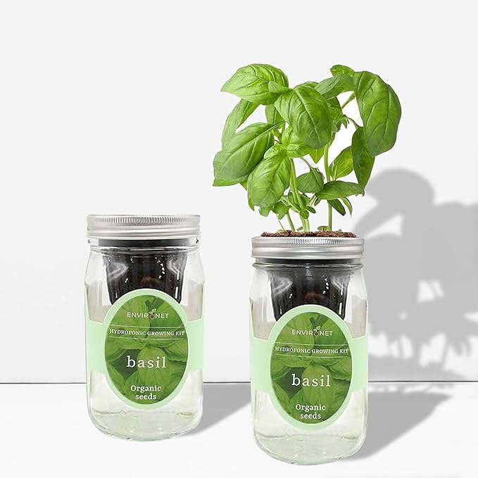 Hydroponic Growing Kit, Self-Watering Mason Jar Herb Garden Starter Kit Indoor, Windowsill Herb Garden, Grow Your Own Herbs from Organic Seeds (Basil)