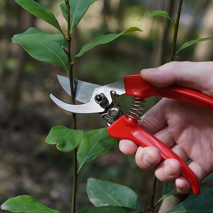 BUGUI Pruning Shears Garden Shears - Premium Alloy Steel Bypass Pruner, Precision-ground Blades, Heavy Duty Gardening Tools, 7" (H201)