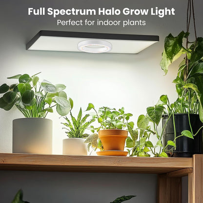6.3" Grow Lights for Indoor Plants, 84 LEDs Full Spectrum Plant Grow Light with 6/12/16H Timer, 3 Spectrum Modes, 5 Brightness Levels, Under Cabinet Halo Plant Light for Indoor Plants