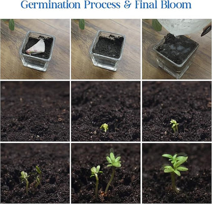 Baby Bottle Shaped Seed Paper – 5 Blue Baby Shower Favors for Guests with Wildflower Seeds, Writable & Plantable, Gender Reveal, Birthday Gifts for Guest