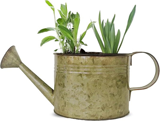 Headwind Countryside Collection - 6 Inch Rustic Green Galvanized Plant Watering Can for Outdoor & Indoor - Vintage Metal Watering Can Outdoor Planter by Robert Allen