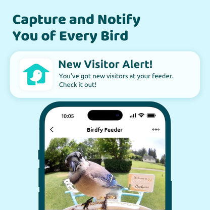 NETVUE by Birdfy Smart Bird Feeder with AI Camera Solar Powered, 2MP Wireless Wildbird Watching, Live Stream & Night Vision, Auto-Capture & Notify, Collection & Cloud Storage (AI by Subscription)