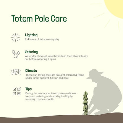 Cactus Outlet - Totem Pole Live Cactus, Cactus Plants Live, Live Plants Indoor & Outdoor Use 12-18” - Rare Large Live Cactus - Landscape Ready Large Cactus Plant Live Delivered Right to Your Door