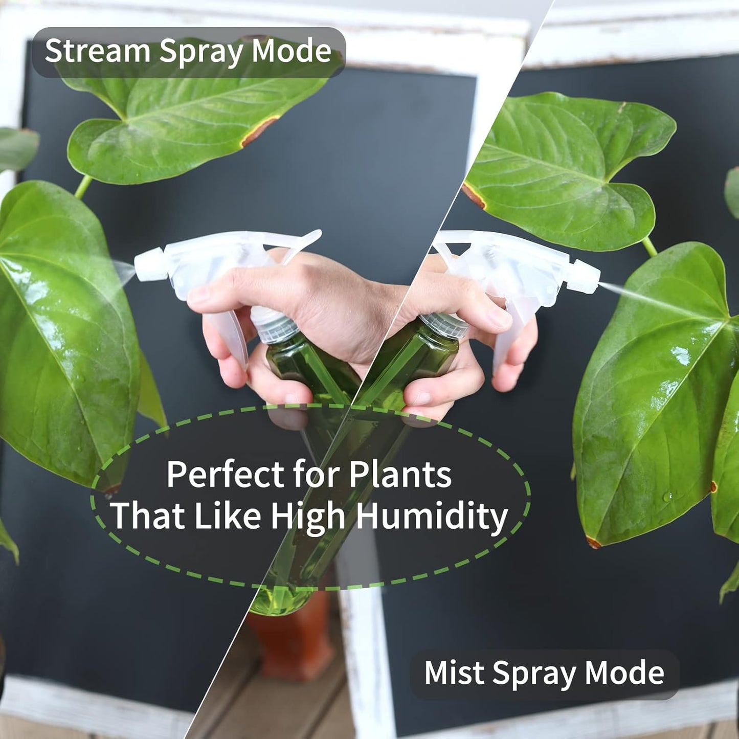 Goowin Indoor Plants Watering Can - Long Spout 47 oz with Bonus 16 oz Spray Bottle & 8.5 oz Squeeze Bottle, Green