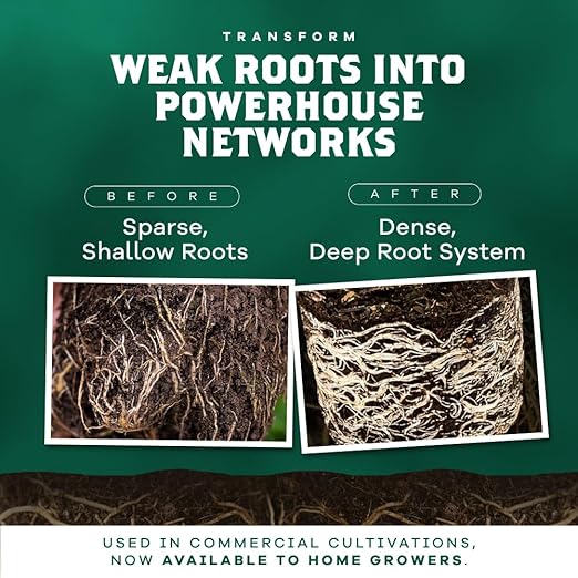 DYNOMYCO Granular Mycorrhizal Fungi Inoculant, 340g / 12oz – Boosts Root Growth, Yields & Nutrient Uptake – 900 Propagules/g, Concentrated Granules, & OMRI Listed – Biofertilizer for Plant Growth