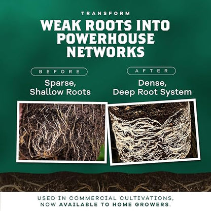 DYNOMYCO Granular Mycorrhizal Fungi Inoculant, 340g / 12oz – Boosts Root Growth, Yields & Nutrient Uptake – 900 Propagules/g, Concentrated Granules, & OMRI Listed – Biofertilizer for Plant Growth