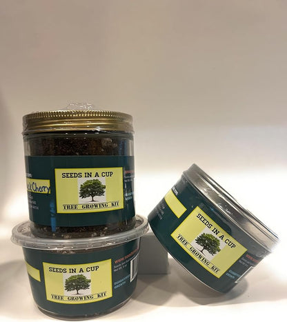 Seeds In A Cup- Tree Growing Kit (Pomegrante)- Plastic Planter